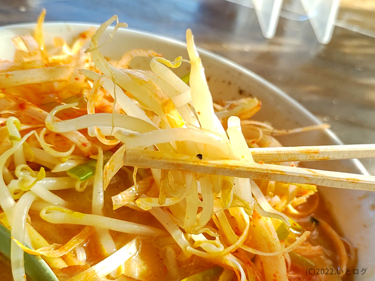 ねぎ味噌らーめん　もやし　野菜