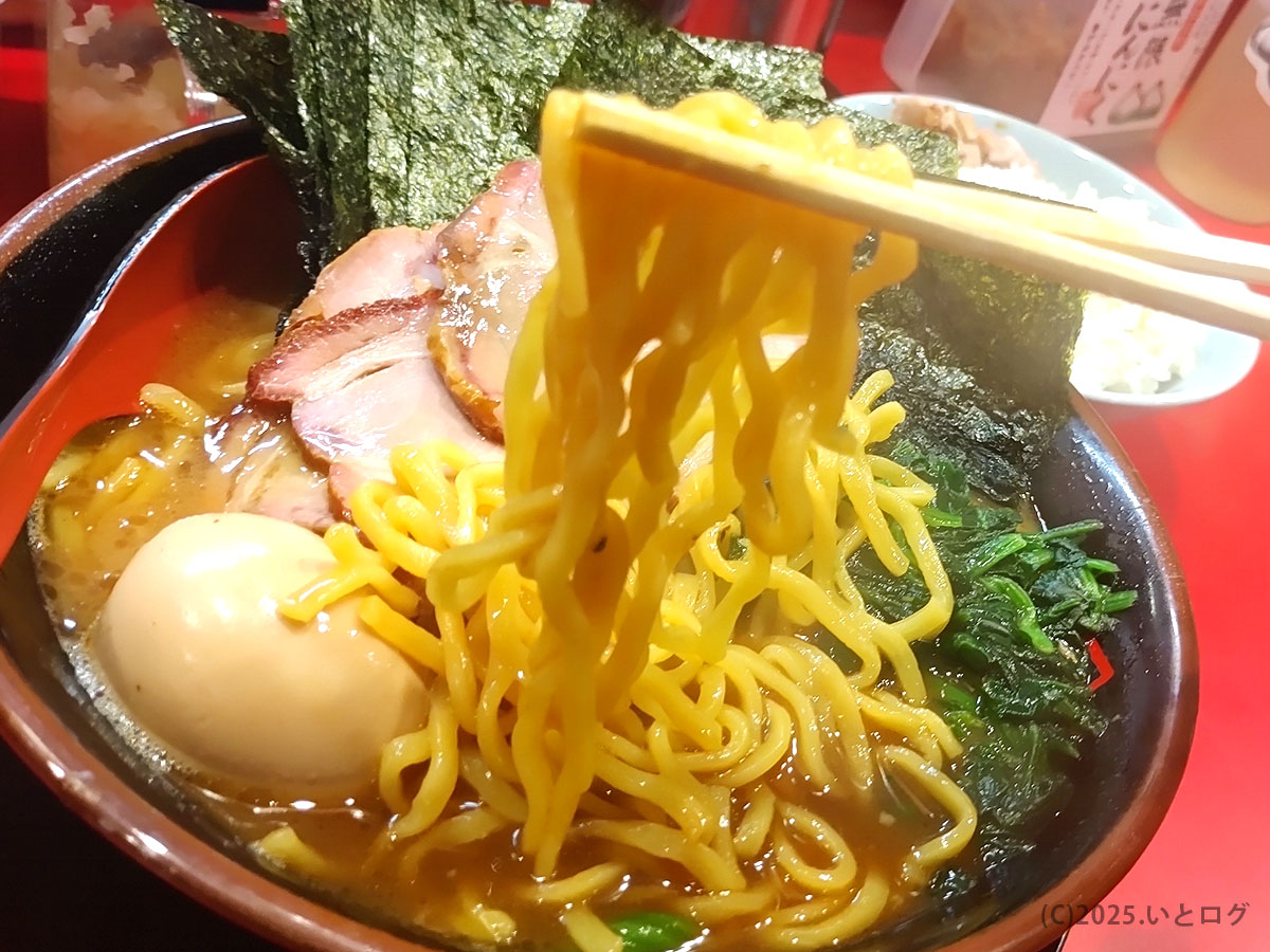 鬼道家の中太麺を持ち上げたシーン。もっちり食感で豚骨醤油スープとの絡みも抜群。仙台でここまで本格的な家系が食べられるのは貴重。