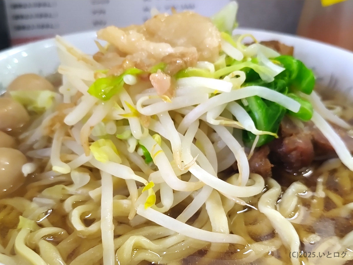 麺とれ 島田のラーメン。コールで増したもやしとキャベツがシャキシャキで食感を引き立てる。
