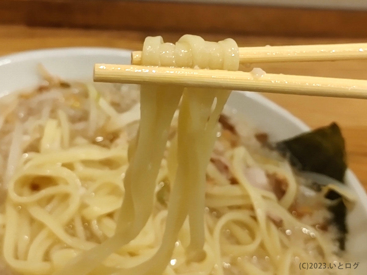 福井　ラーメン　ランキング