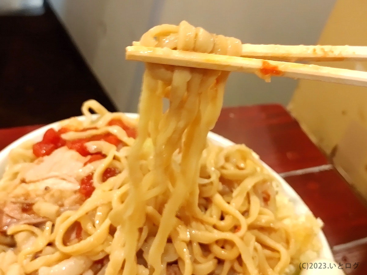 麺　アップ