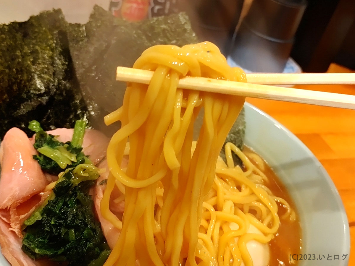 麺　静岡　豚骨醤油