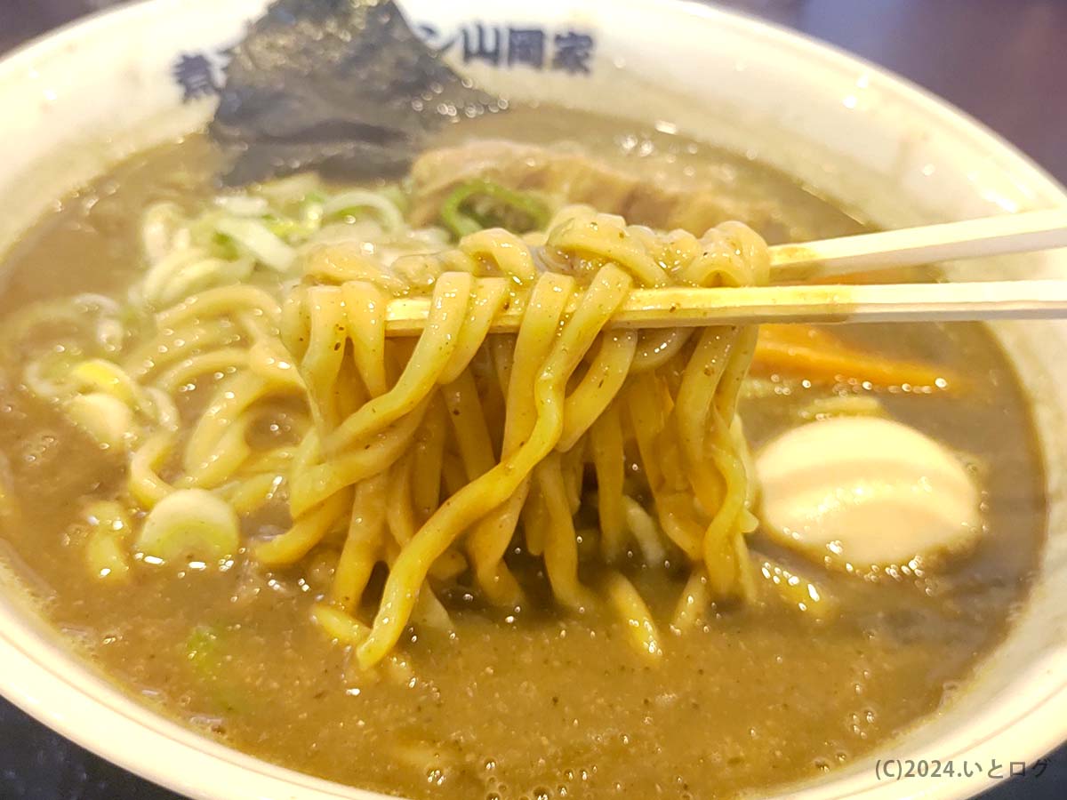 煮干しラーメン山岡家