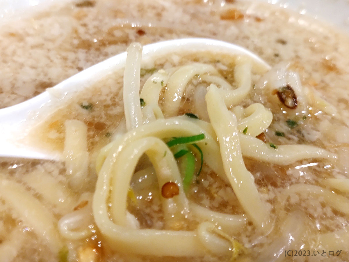 福井　ラーメン　人気