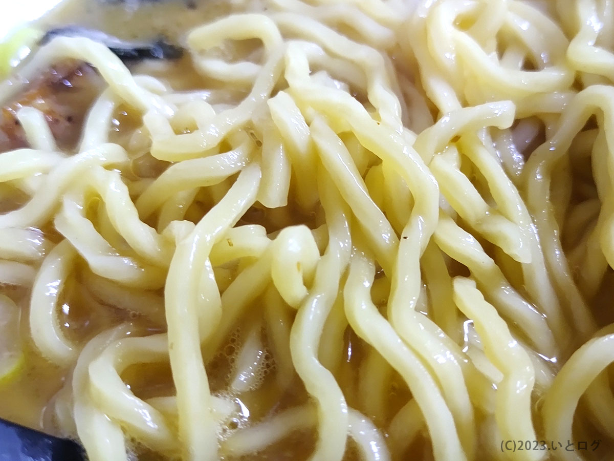 麺　岐阜　白神