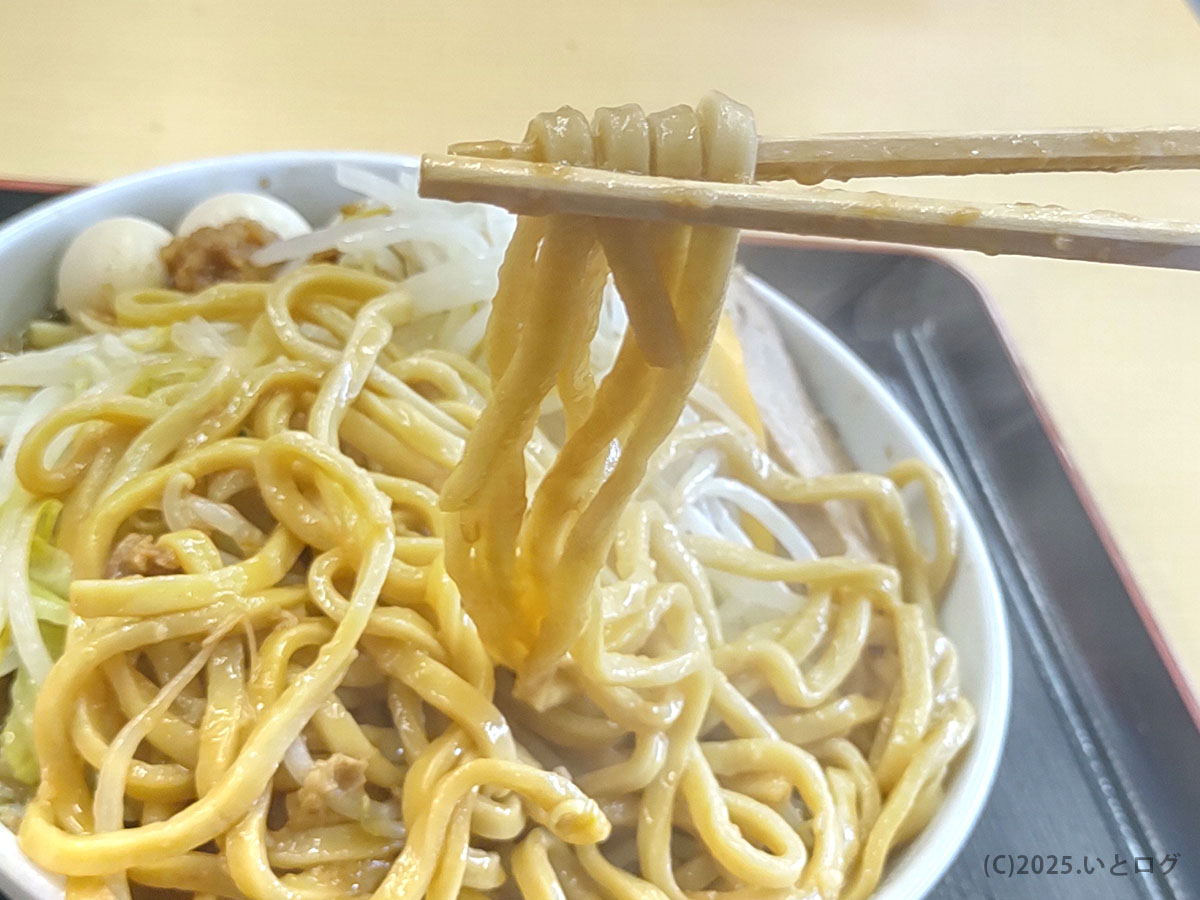 RAMEN OF TODAY 下松店（ラーメンオブトゥデイ下松）の極太麺