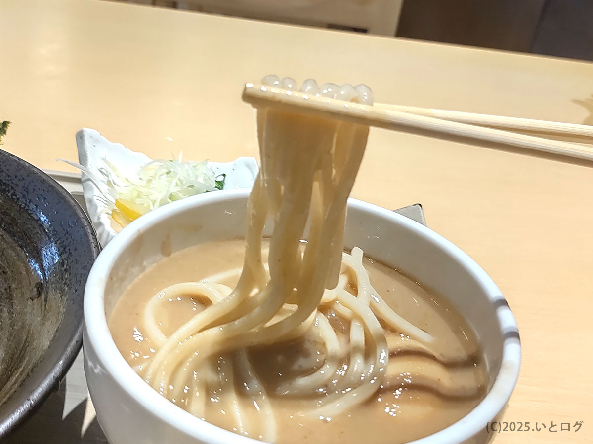 艶やかな極太ストレート麺を濃厚つけ汁からリフト──〈尚念 ラーメン〉ならではのコシと粘度が伝わるシズルショット。