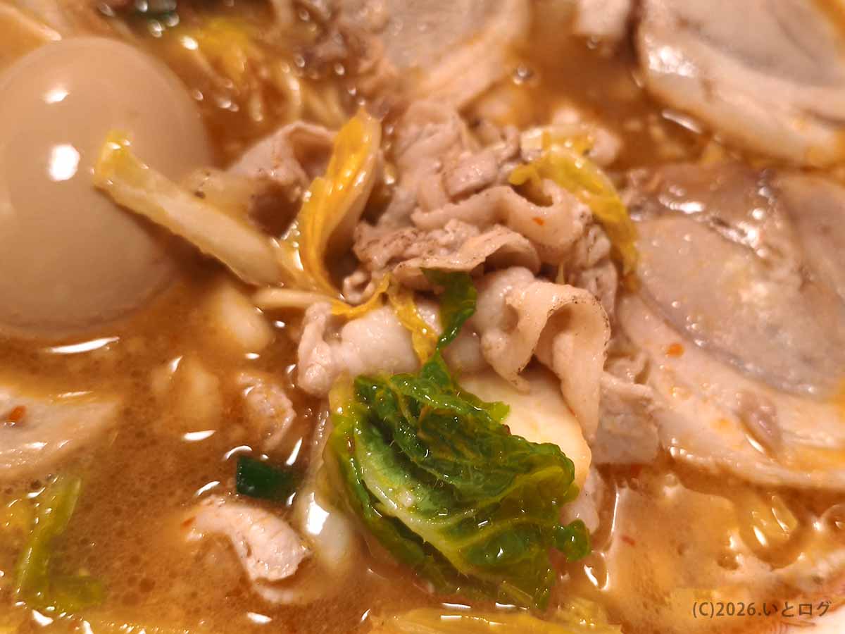 天理スタミナラーメン本店のラーメンの具材