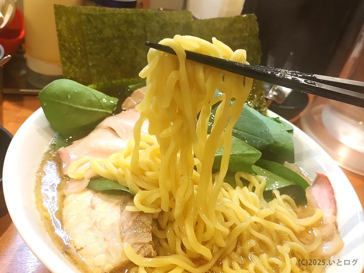 とさの家 ラーメンの中太縮れ麺を箸でリフト。海苔とほうれん草の緑を背に、家系の濃厚スープが麺に絡む瞬間。
