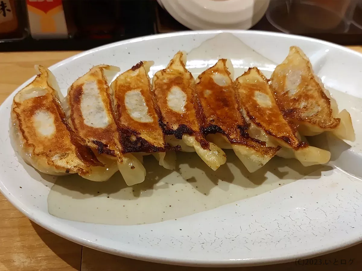 鹿児島　ラーメン　餃子